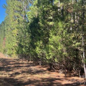 Photo #14 of 5 AC Lot 5 Ernandez, Richburg, SC