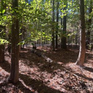 Photo #6 of 5 AC Lot 5 Ernandez, Richburg, SC