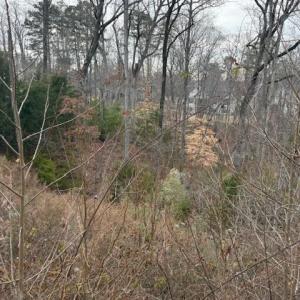 Photo #2 of 5155 Watersail, Clover, SC