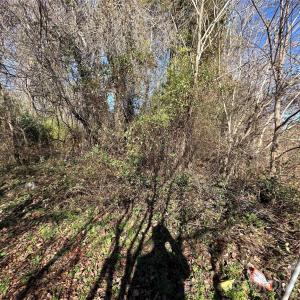 Photo #23 of S Main, Salisbury, NC