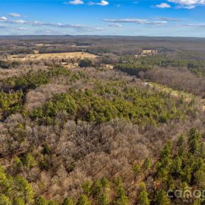 Photo #11 of Morgan, Gold Hill, NC