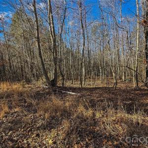 Photo #21 of Morgan, Gold Hill, NC