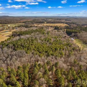 Photo #10 of Morgan, Gold Hill, NC