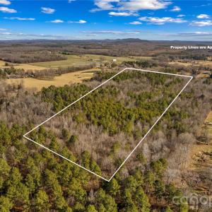 Photo #9 of Morgan, Gold Hill, NC