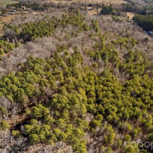 Photo #13 of Morgan, Gold Hill, NC