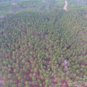 Photo #16 of 734 Great North, Winnsboro, SC