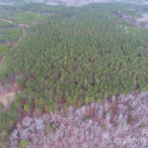 Photo #19 of 734 Great North, Winnsboro, SC