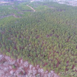 Photo #18 of 734 Great North, Winnsboro, SC