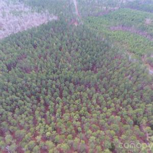 Photo #13 of 734 Great North, Winnsboro, SC