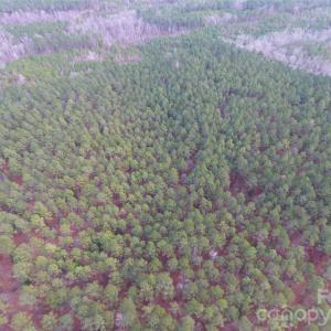 Photo #11 of 734 Great North, Winnsboro, SC