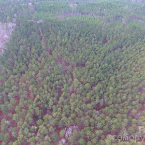 Photo #15 of 734 Great North, Winnsboro, SC