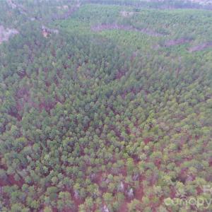 Photo #14 of 734 Great North, Winnsboro, SC