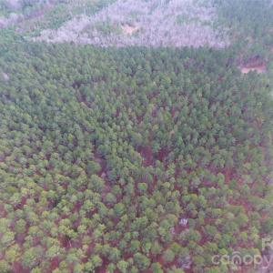 Photo #12 of 734 Great North, Winnsboro, SC