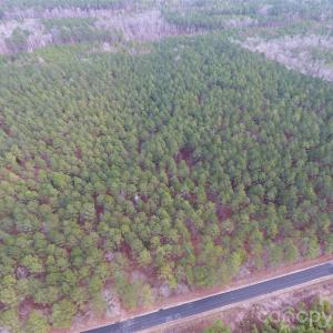 Photo #9 of 734 Great North, Winnsboro, SC