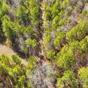 Photo #6 of Shannon, Blackstock, SC