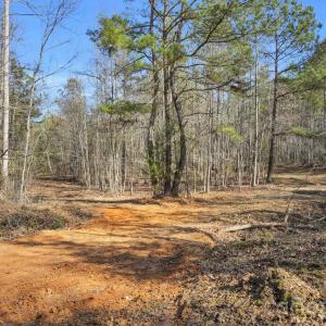 Photo #34 of Shannon, Blackstock, SC