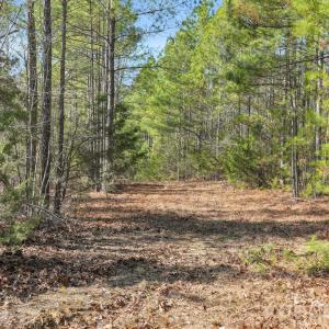 Photo #41 of Shannon, Blackstock, SC