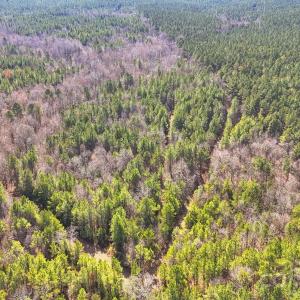 Photo #2 of Shannon, Blackstock, SC