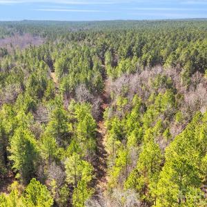 Photo #16 of Shannon, Blackstock, SC