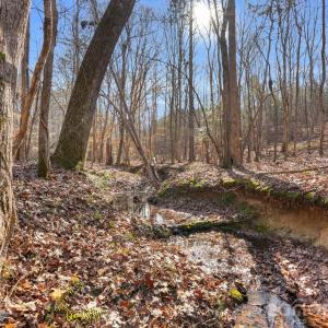 Photo #23 of Shannon, Blackstock, SC