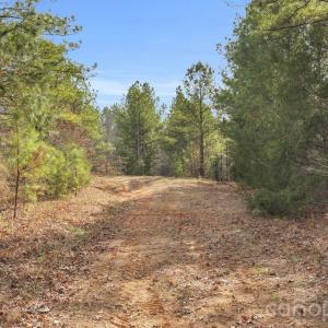 Photo #42 of Shannon, Blackstock, SC