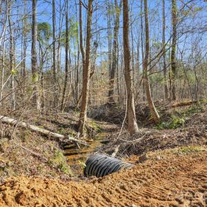 Photo #29 of Shannon, Blackstock, SC