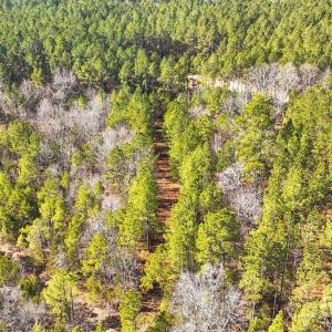 Photo #18 of Shannon, Blackstock, SC