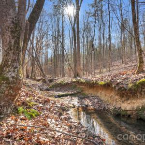 Photo #1 of Shannon, Blackstock, SC