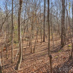 Photo #28 of Shannon, Blackstock, SC