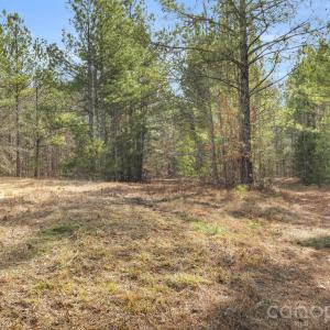 Photo #44 of Shannon, Blackstock, SC