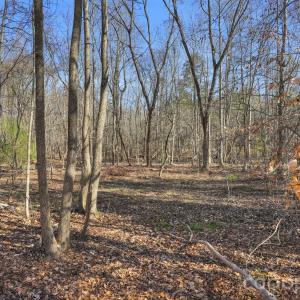 Photo #36 of Shannon, Blackstock, SC