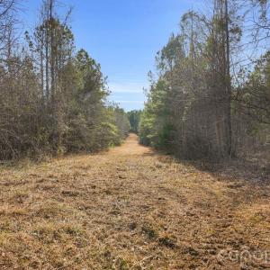 Photo #21 of Shannon, Blackstock, SC