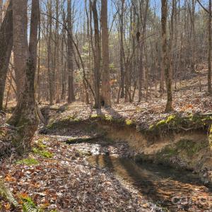 Photo #22 of Shannon, Blackstock, SC