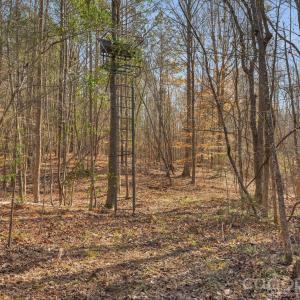 Photo #32 of Shannon, Blackstock, SC