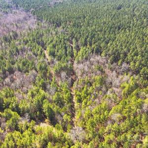 Photo #8 of Shannon, Blackstock, SC