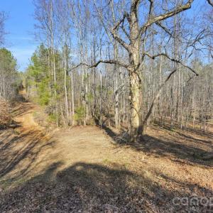 Photo #35 of Shannon, Blackstock, SC