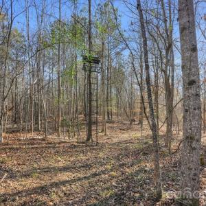 Photo #13 of Shannon, Blackstock, SC