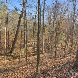 Photo #27 of Shannon, Blackstock, SC