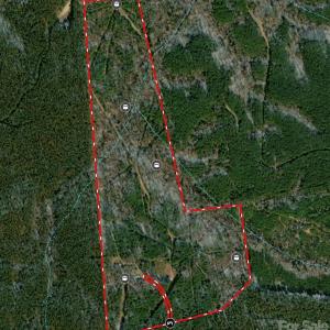 Photo #5 of Shannon, Blackstock, SC