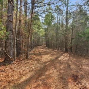 Photo #47 of Shannon, Blackstock, SC