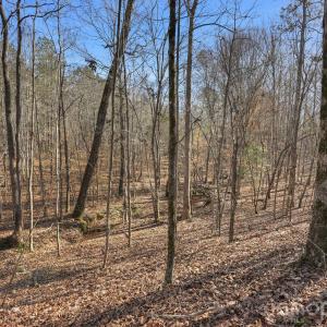 Photo #3 of Shannon, Blackstock, SC