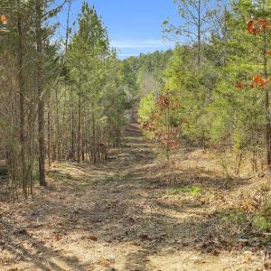 Photo #40 of Shannon, Blackstock, SC