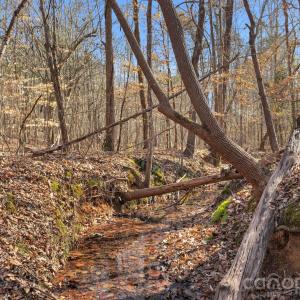 Photo #24 of Shannon, Blackstock, SC