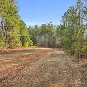 Photo #17 of Shannon, Blackstock, SC