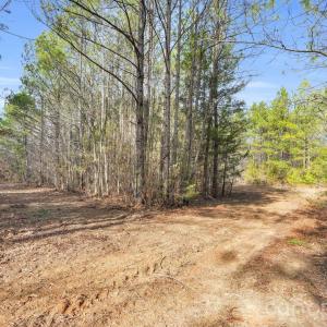 Photo #11 of Shannon, Blackstock, SC