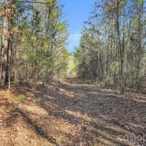 Photo #38 of Shannon, Blackstock, SC