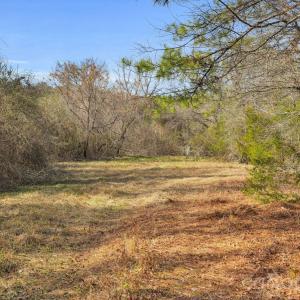 Photo #45 of Shannon, Blackstock, SC