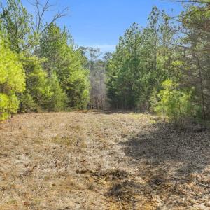 Photo #39 of Shannon, Blackstock, SC