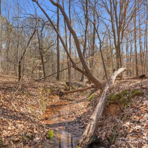 Photo #25 of Shannon, Blackstock, SC