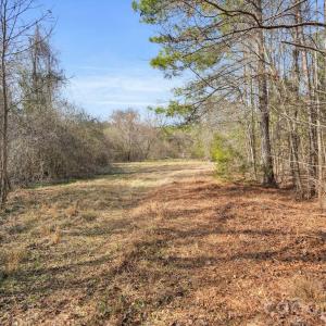 Photo #37 of Shannon, Blackstock, SC